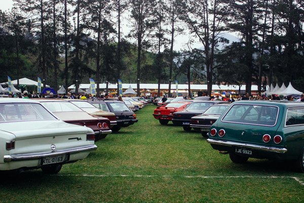 Can You Suggest a DIY Organic Face Mask for Brightening Dull Skin?